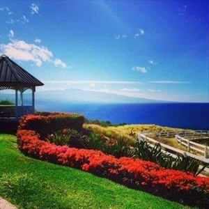 Meet your Posher, Bobby d